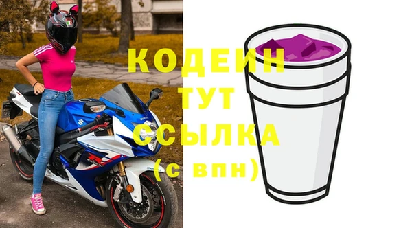 спиды Богородицк